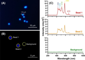 Microbead Reflection Data Measurement of Emission Spectrum of Fluorescence Microbeads